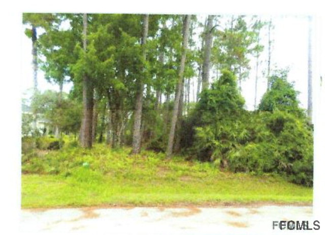 16 Elias Lane, Palm Coast, FL 32164