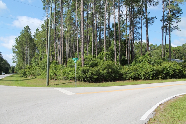 206 Eric Drive, Palm Coast, FL 32164