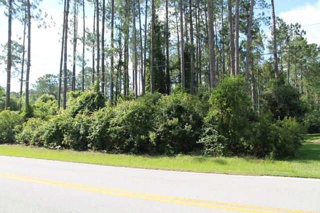 206 Eric Drive, Palm Coast, FL 32164