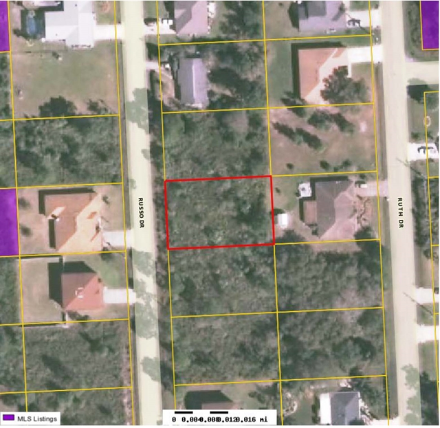37 Russo Drive, Palm Coast, FL 32164