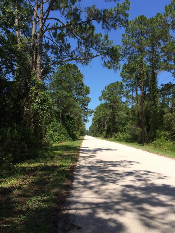 4170 QUAIL RANCH Road, New Smyrna Beach, FL 32168