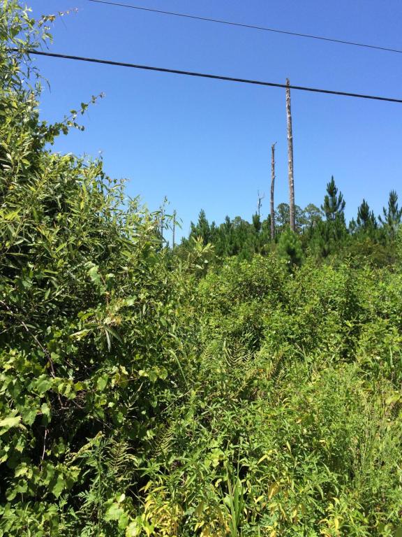 0 Quail Nest Lane, New Smyrna Beach, FL 32168