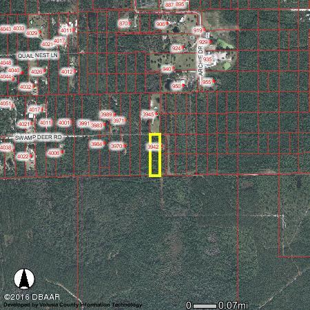 0 Swamp Deer Road, New Smyrna Beach, FL 32168