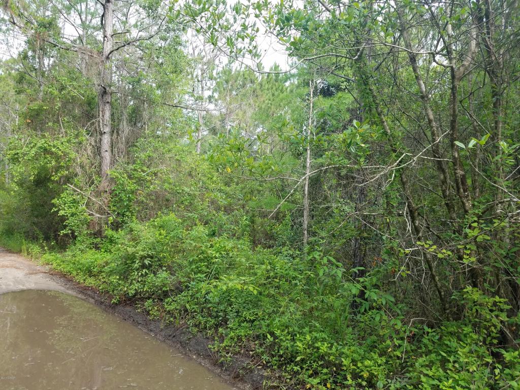 0 MAGNOLIA Road, New Smyrna Beach, FL 32168