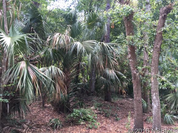 0 Pearl St, New Smyrna Beach, FL 32168
