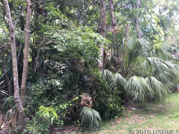 0 Pearl St, New Smyrna Beach, FL 32168