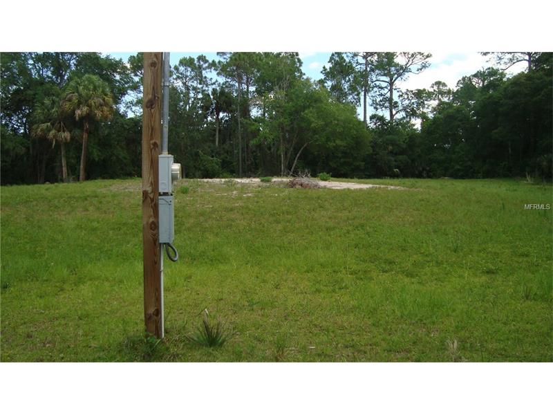 1147 TURNBULL CREEK ROAD, New Smyrna Beach, FL 32168