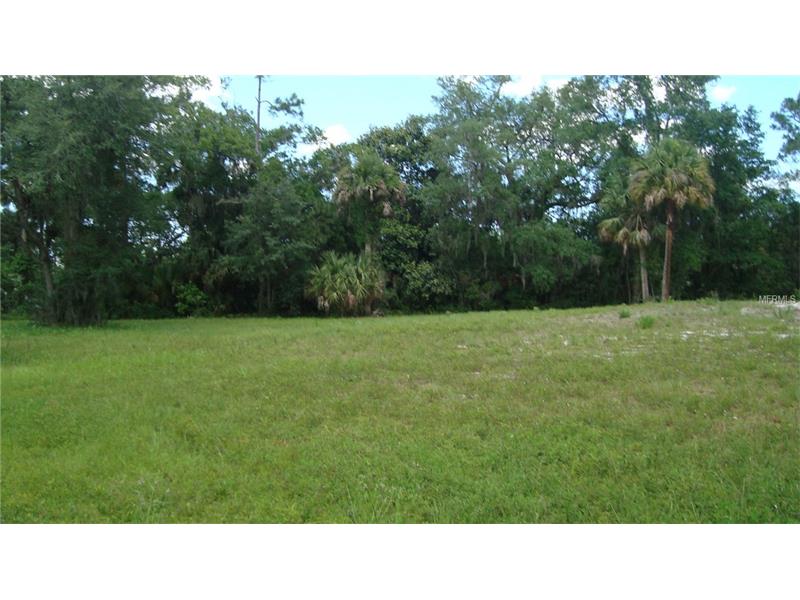 1147 TURNBULL CREEK ROAD, New Smyrna Beach, FL 32168