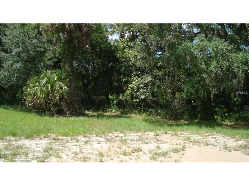 1147 TURNBULL CREEK ROAD, New Smyrna Beach, FL 32168