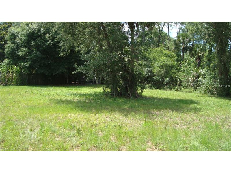 1147 TURNBULL CREEK ROAD, New Smyrna Beach, FL 32168