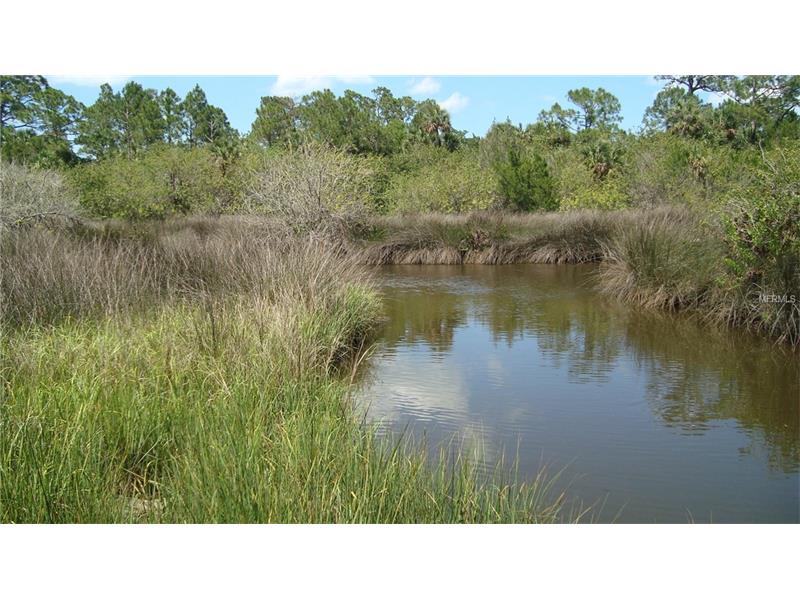 1147 TURNBULL CREEK ROAD, New Smyrna Beach, FL 32168