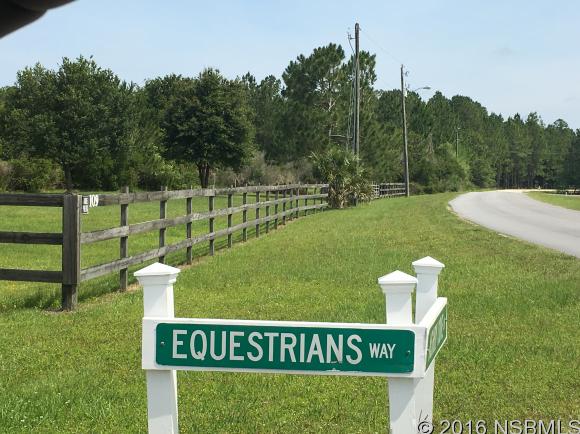 348 EQUESTRIANS WAY, New Smyrna Beach, FL 32168