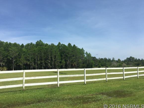 348 EQUESTRIANS WAY, New Smyrna Beach, FL 32168