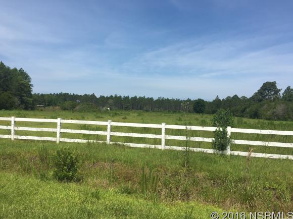 348 EQUESTRIANS WAY, New Smyrna Beach, FL 32168
