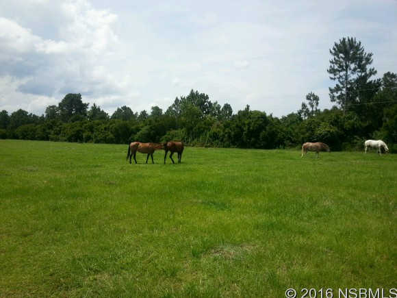 348 EQUESTRIANS WAY, New Smyrna Beach, FL 32168