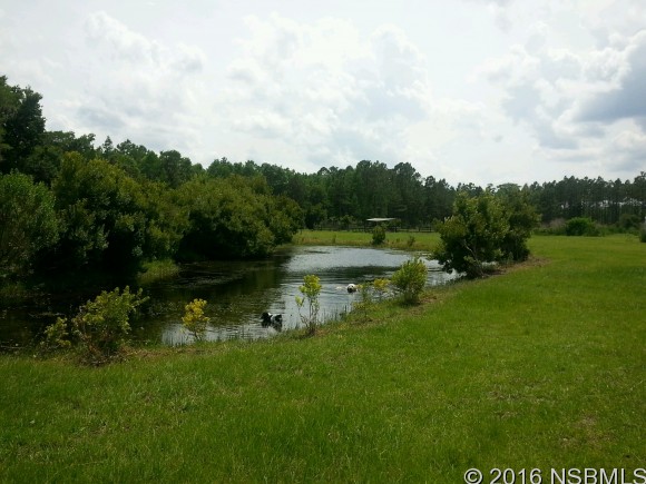 348 EQUESTRIANS WAY, New Smyrna Beach, FL 32168