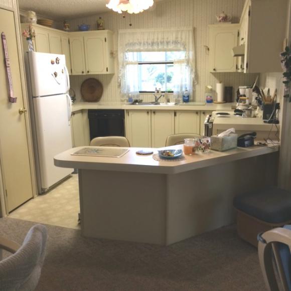 Holiday Village - Ormond Beach1335 Fleming Ave Lot 268Ormond Beach, FL 32174