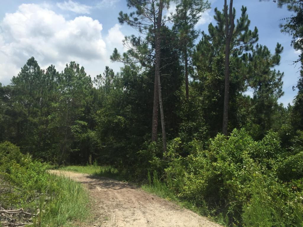 95 PINTO Lane, Ormond Beach, FL 32174