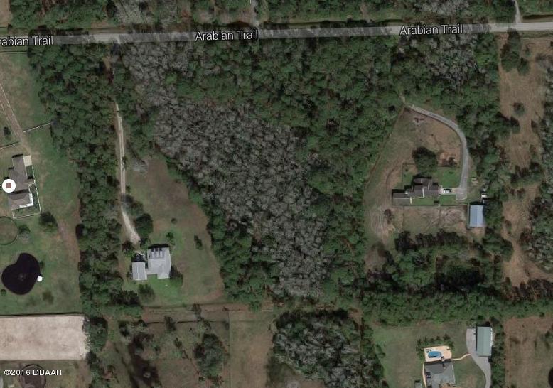 2411 ARABIAN Trail, Ormond Beach, FL 32174