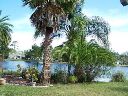 Bear Creek58 GRIZZLY BEAR PATHOrmond Beach, FL 32174