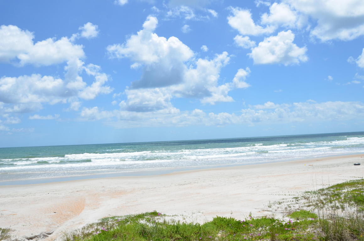 1167 Ocean Shore Boulevard, Ormond Beach, FL 32176
