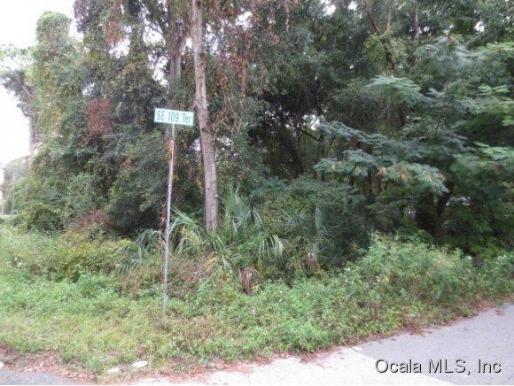 0 SE 109 Terrace, Ocklawaha, FL 32179