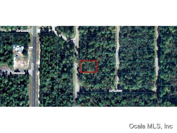 00 Bay Drive, Ocklawaha, FL 32179