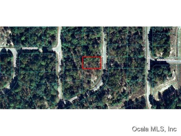 00 Bay Court, Ocklawaha, FL 32179