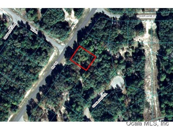 00 Bay Road, Ocklawaha, FL 32179