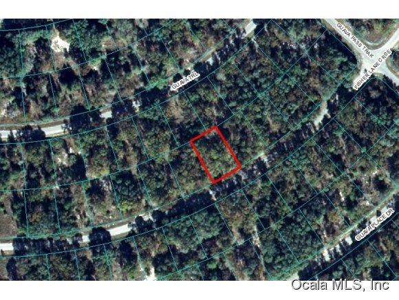 00 Fisher Crse Lane, Ocklawaha, FL 32179