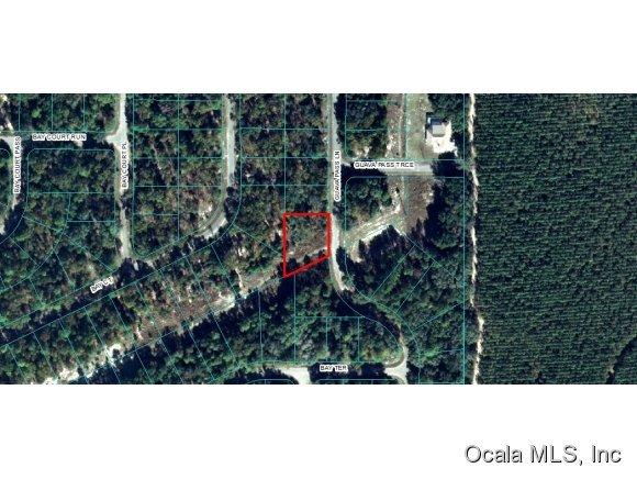 00 Guava Pass Lane, Ocklawaha, FL 32179