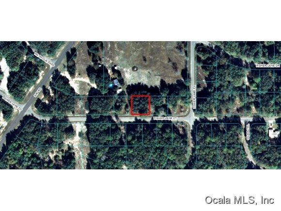 00 Fisher Lane Court, Ocklawaha, FL 32179