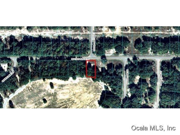 00 SE 115 Place Road, Ocklawaha, FL 32179