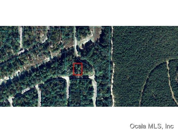00 Bay Terrace, Ocklawaha, FL 32179