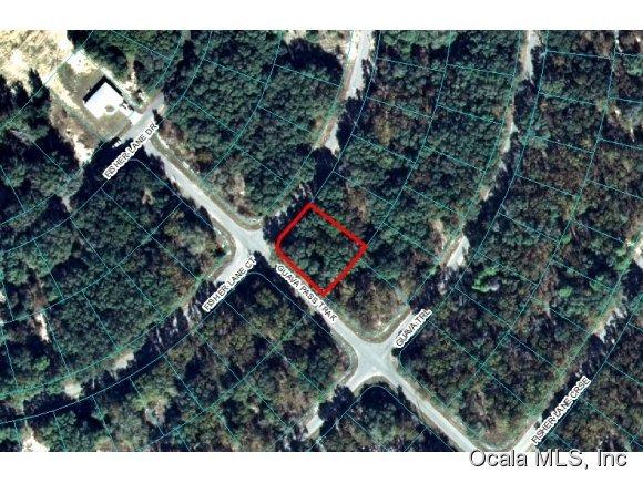 00 Fisher Lane Court, Ocklawaha, FL 32179