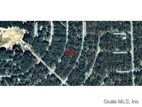 00 Guava Trail, Ocklawaha, FL 32179