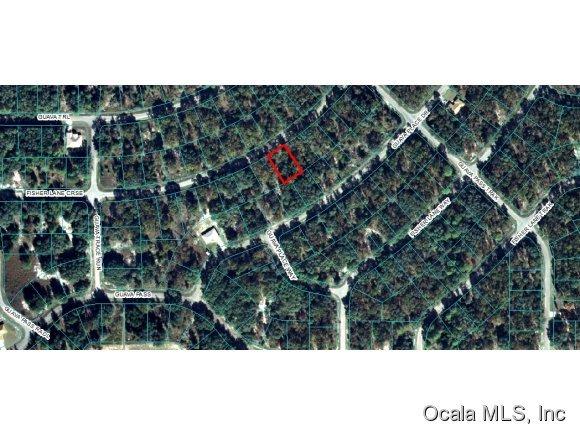 00 Fisher Crse Lane, Ocklawaha, FL 32179
