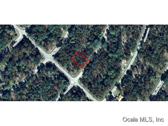 00 Fisher Crse Lane, Ocklawaha, FL 32179