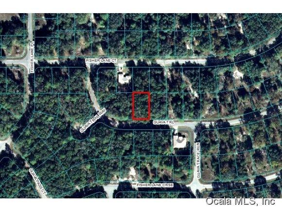 00 Guava Trail, Ocklawaha, FL 32179