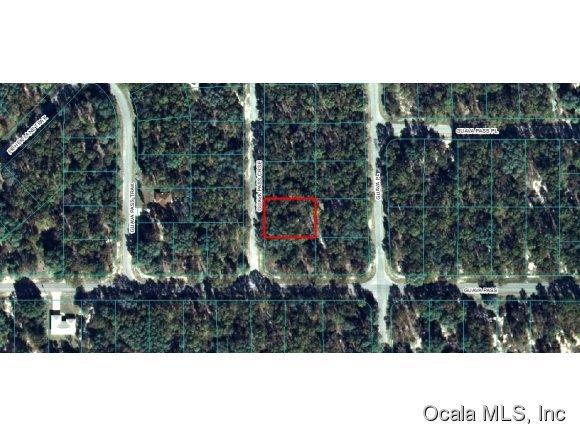 00 Guava Crse Pass, Ocklawaha, FL 32179