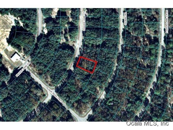 00 Fisher Lane Court, Ocklawaha, FL 32179