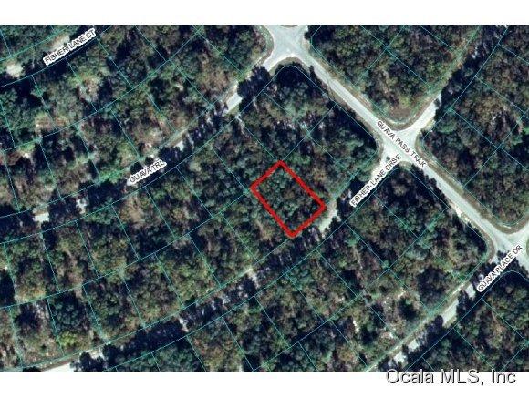 00 Fisher Crse Lane, Ocklawaha, FL 32179