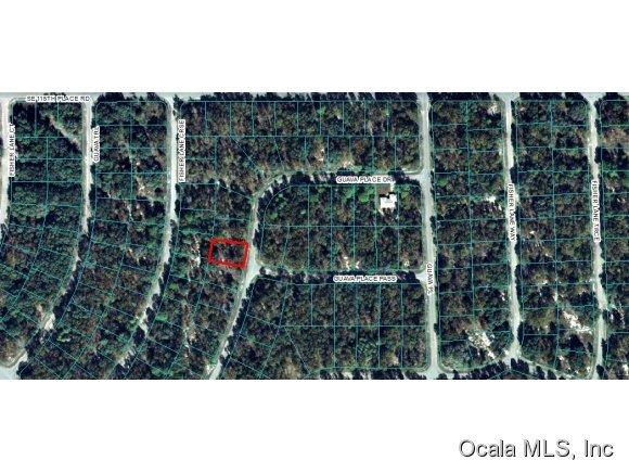 00 Guava Place Drive, Ocklawaha, FL 32179