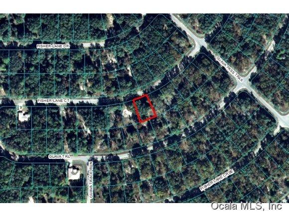 00 Fisher Lane Court, Ocklawaha, FL 32179