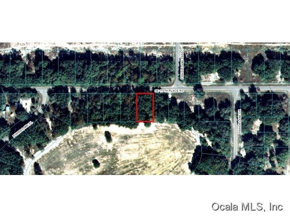 00 SE 115 Place Road, Ocklawaha, FL 32179
