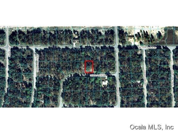 00 Guava Place Drive, Ocklawaha, FL 32179