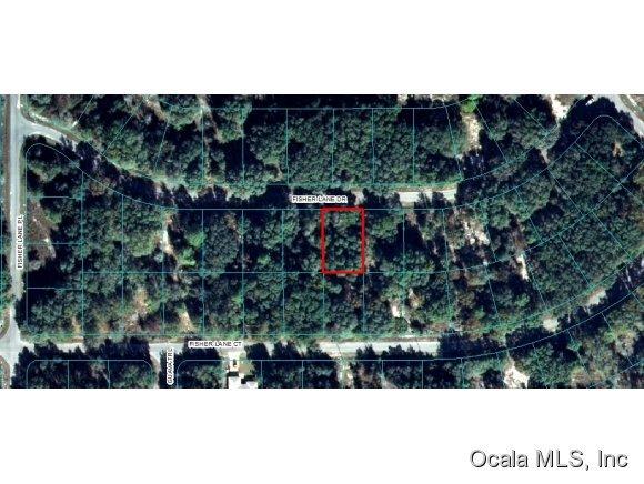 00 Fisher Lane Drive, Ocklawaha, FL 32179