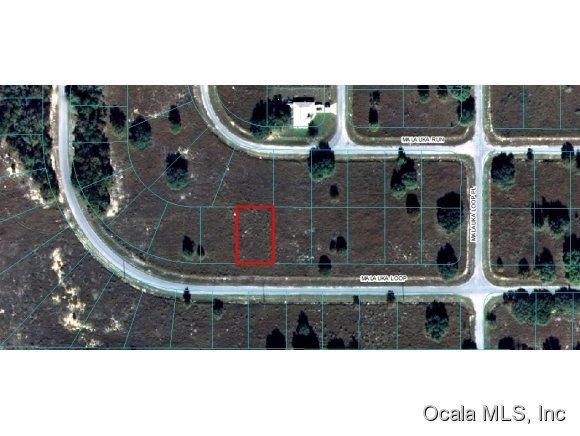 00 Malauka Loop, Ocklawaha, FL 32179