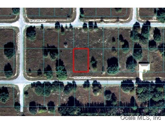 00 Malauka Loop, Ocklawaha, FL 32179