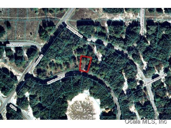 00 Fisher Lane Court, Ocklawaha, FL 32179
